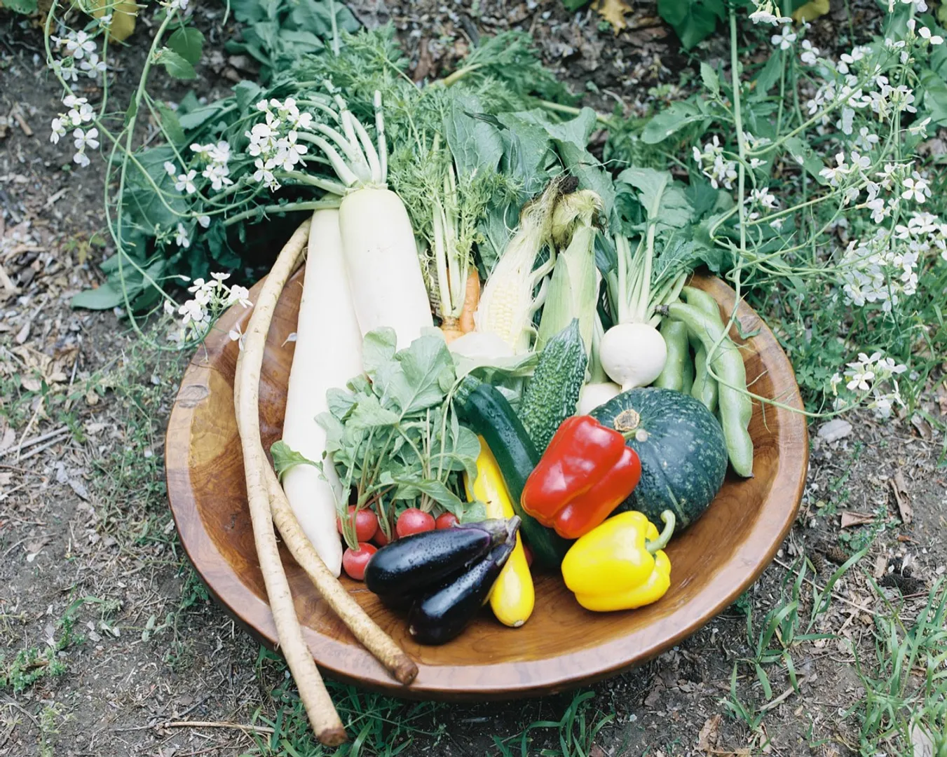 000㎡の森の中に５つのエリアに12棟18室の部屋がゆったりと佇む。
