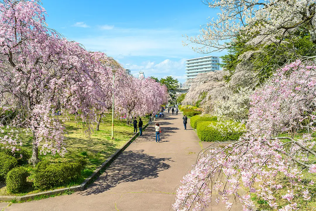 榴岡公園の風景