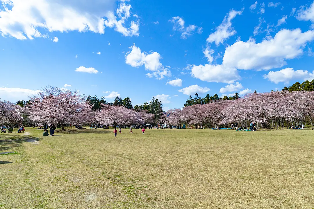 三神峯公園の風景