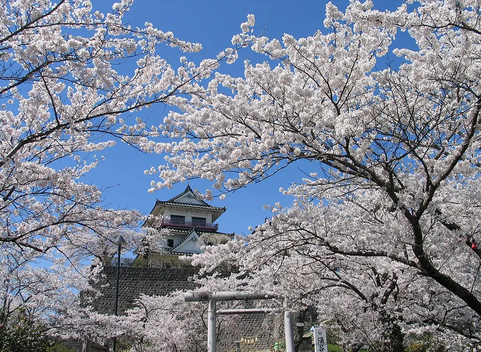 涌谷町城山公園の風景