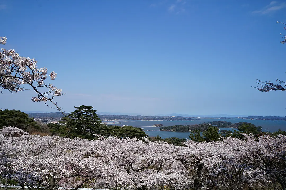 涌谷町城山公園の風景
