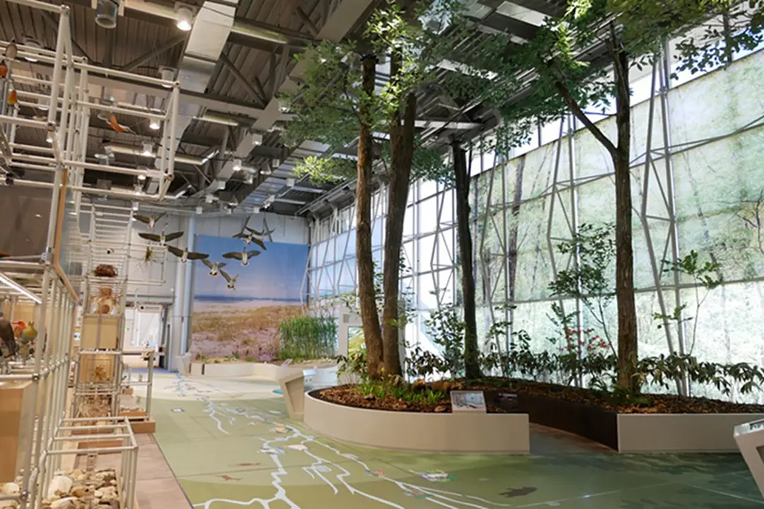 宮城・仙台の動植物などの標本やはく製、化石を展示している「宮城・仙台の自然エリア」