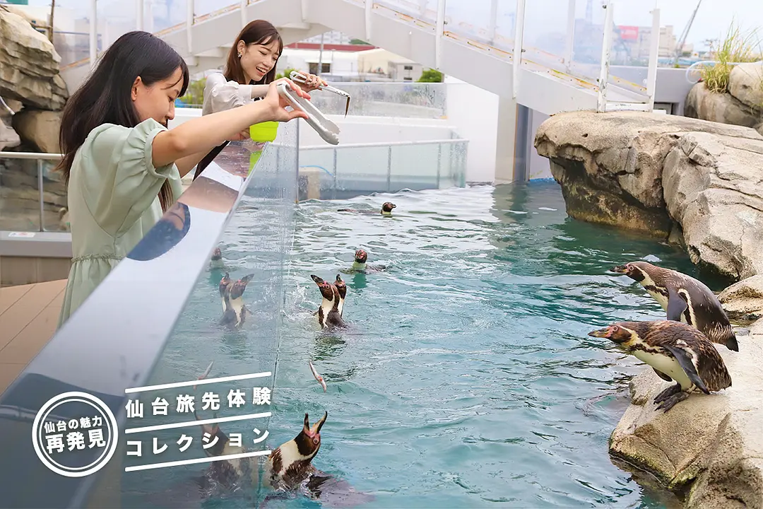 仙台旅先体験コレクション　人気プログラムご紹介！～夏ver～