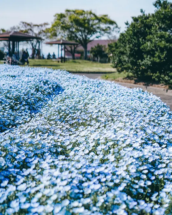 せんだい農業園芸センター