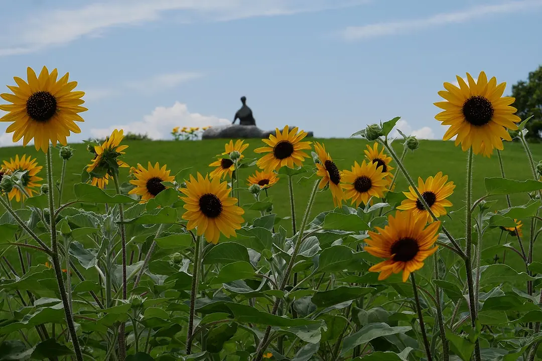 スポット：せんだい農業園芸センター