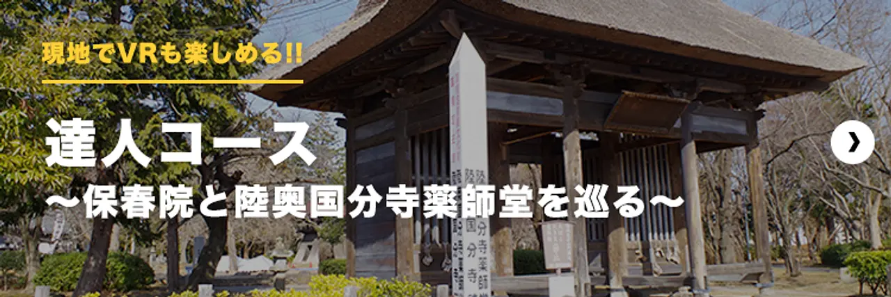 現地でVRも楽しめる！！達人コース～保春院と陸奥国分寺薬師堂を巡る～