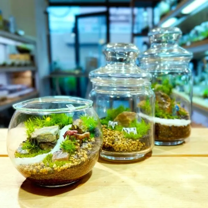 Terrariums仙台 AER店