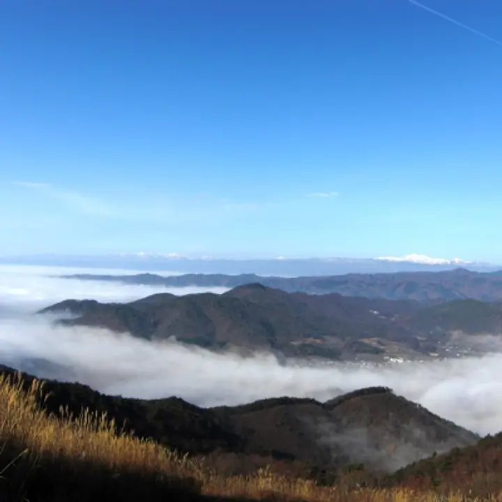 난요시 관광협회