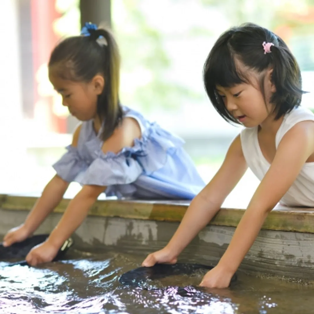 天平罗曼馆，和久屋町区域振兴总公司