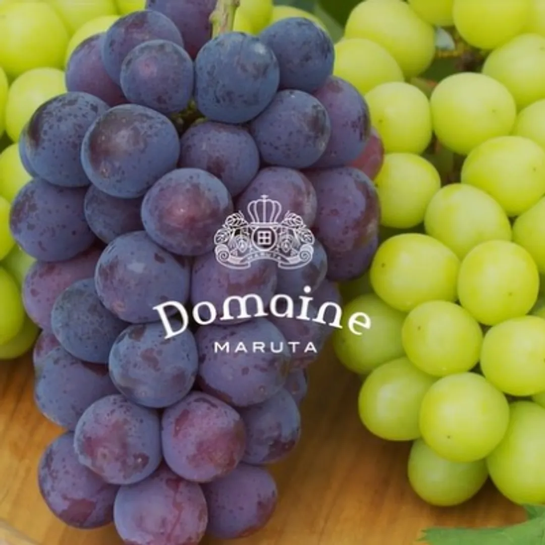 田所食品有限公司