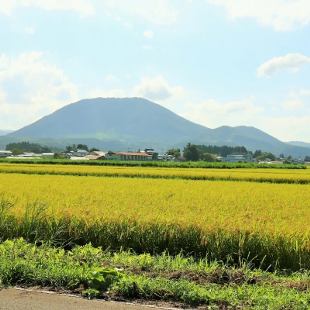加美町観光まちづくり協会