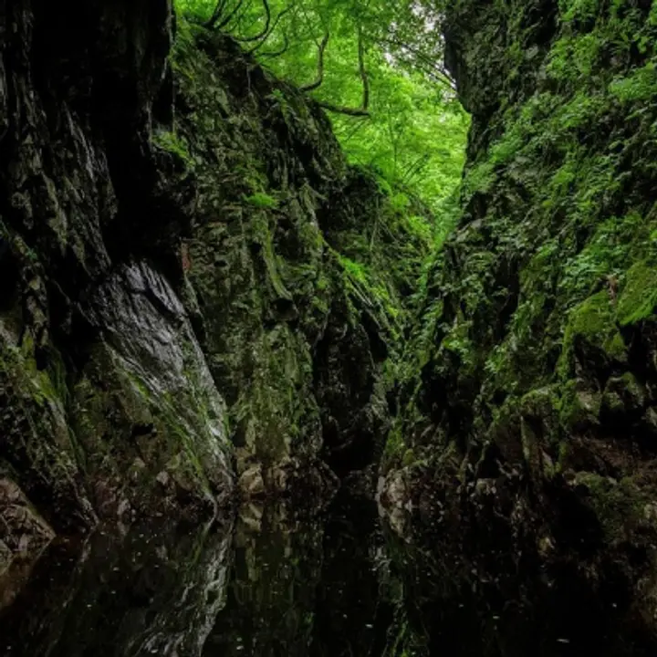 一般社団法人 やまがたアルカディア観光局