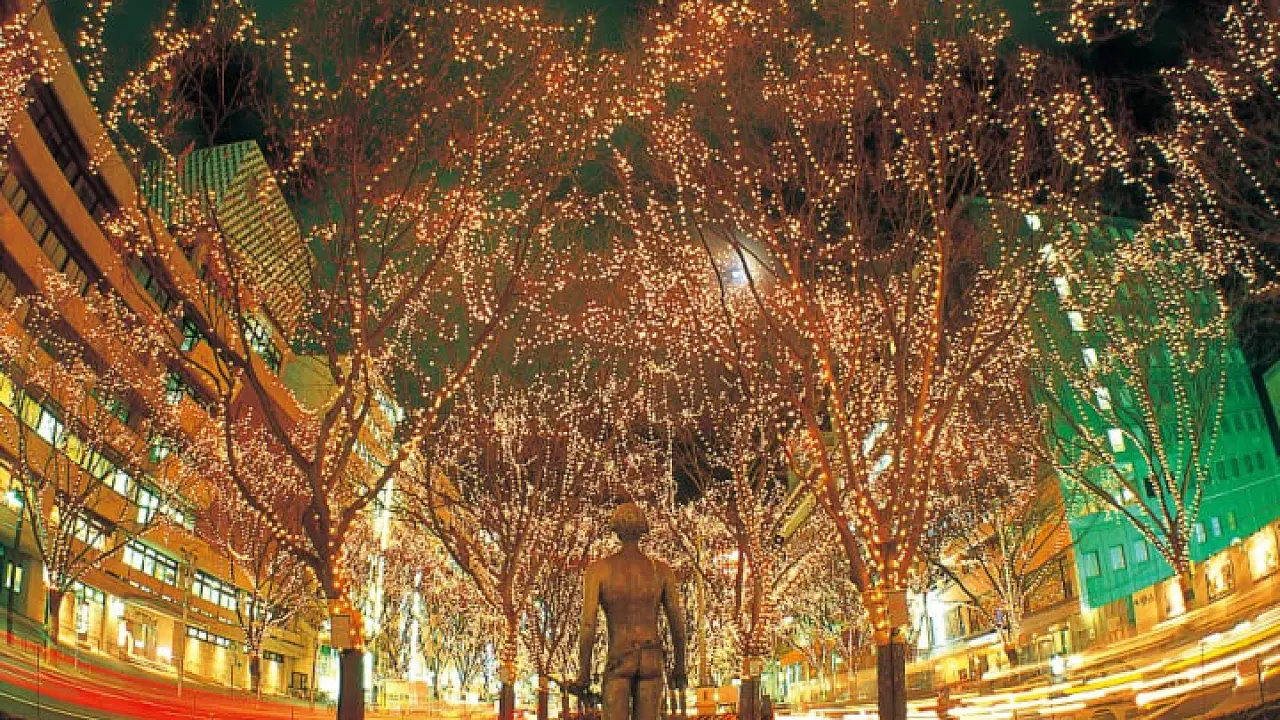 Pageant of Starlight Guided Tour