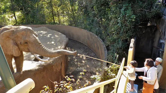 動物のえさやり体験