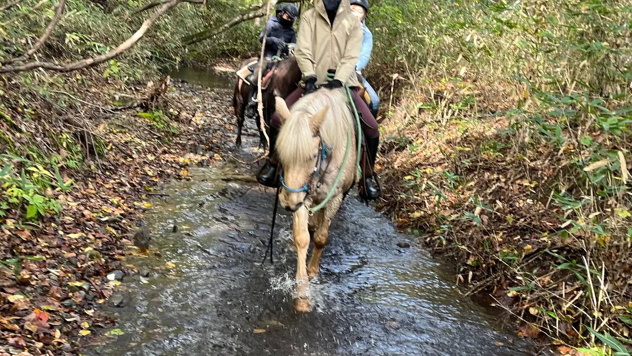 蔵王の森スペシャル