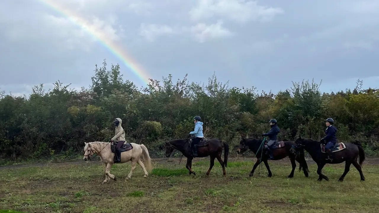 蔵王の野を駈ける！