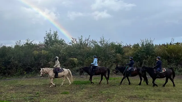 蔵王の野を駈ける！