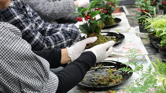 苔玉づくり体験