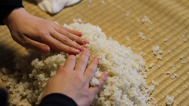 抱いて育てる糀（こうじ）づくりワークショップ