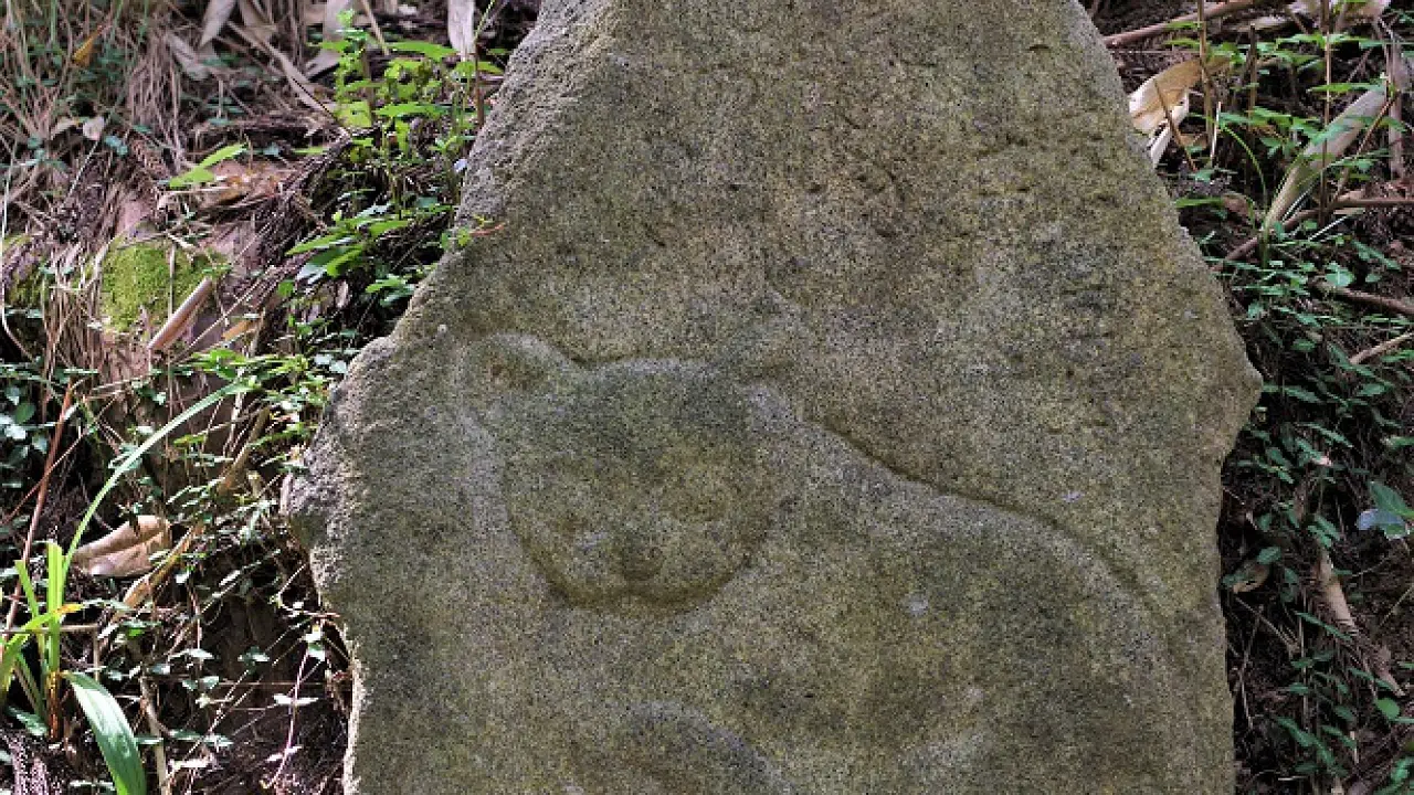 日本一の猫碑の町！丸森町で猫神さま小道さんぽ♪