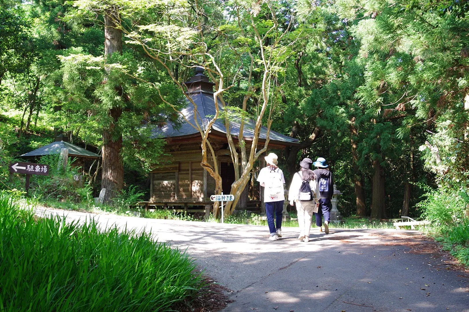 細内観音堂は、少し急な坂道を登っていきます