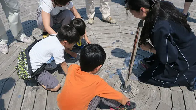 太陽の通り道をたどろう！～アナレンマのふしぎ～