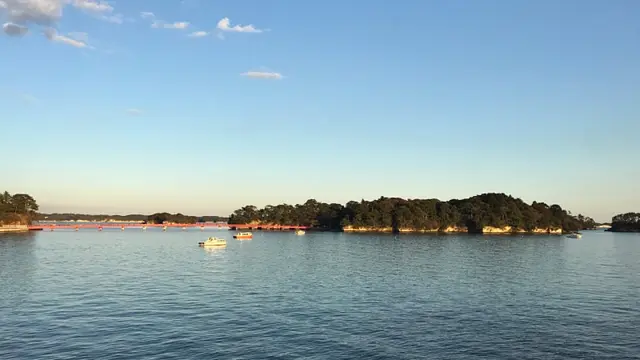 Private Matsushima tour with a licensed guide.