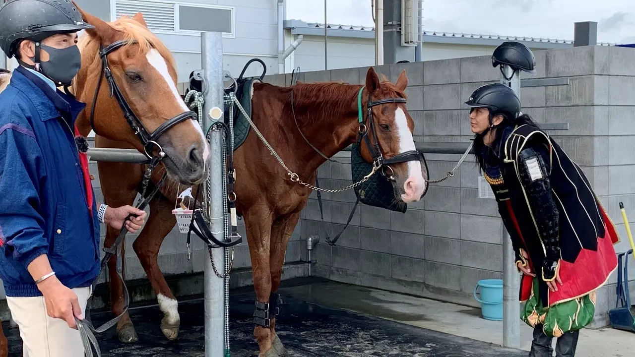 うまの生態学習