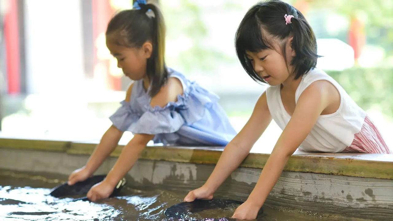 Gold panning experience