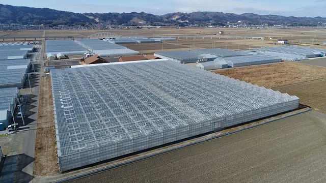 山元いちご農園　農園視察プラン　※団体専用プラン