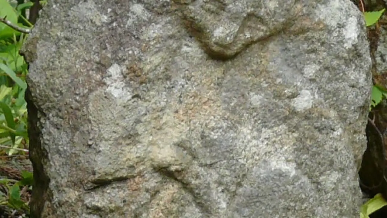 丸森のパワースポット・お不動さんで猫神さま小道さんぽ♪