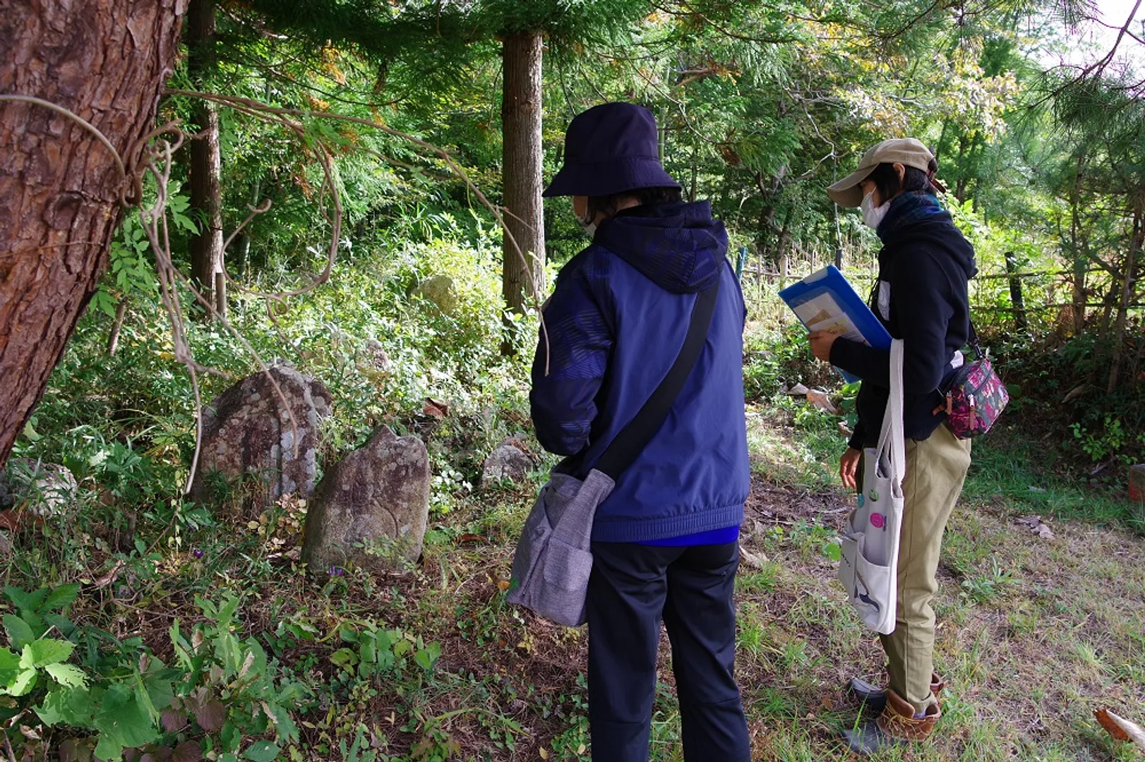 猫神さまは、4基見る事ができます