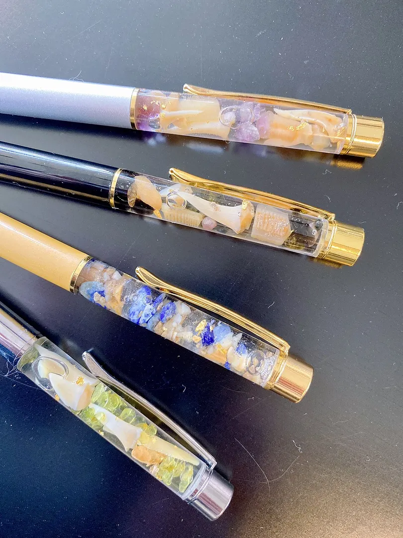 化石も入れますよ！