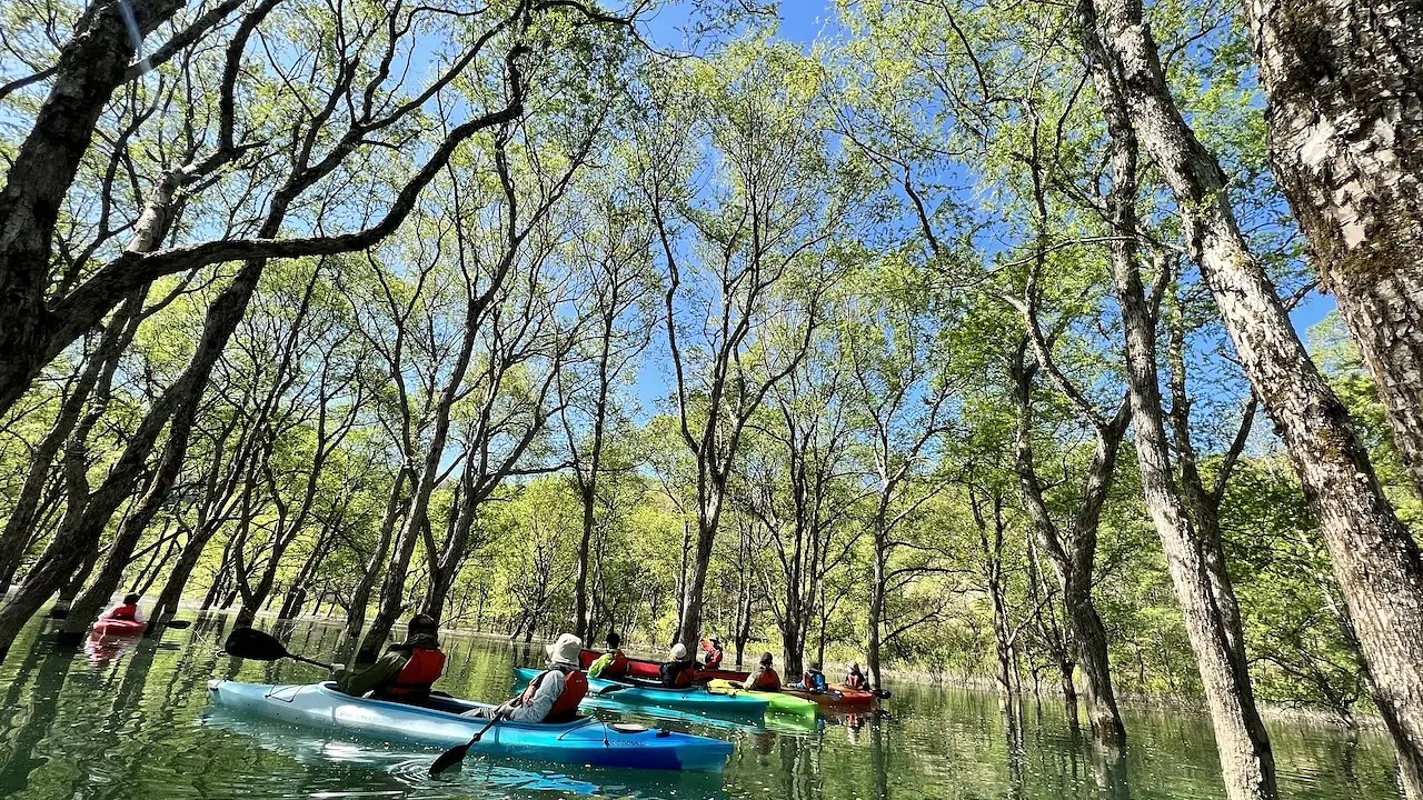 水没林カヌーツアー　白川湖に広がる春の絶景　さぁ、冒険に出かけよう！ガイド同行で初心者も安心＆写真プレゼント！