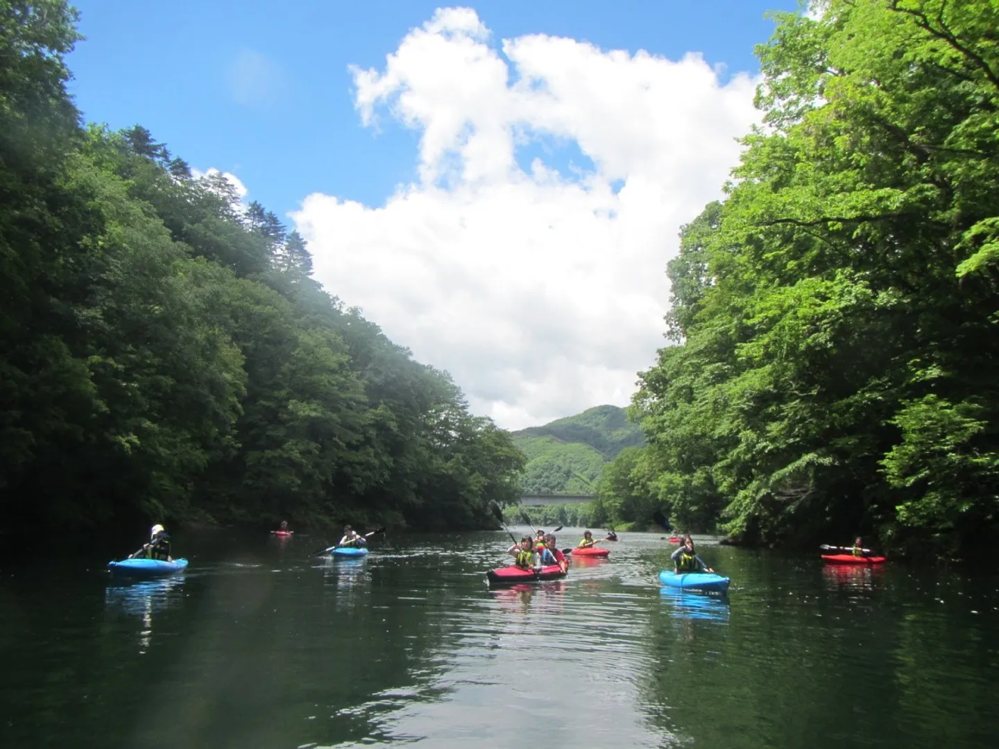 湖上から森林浴