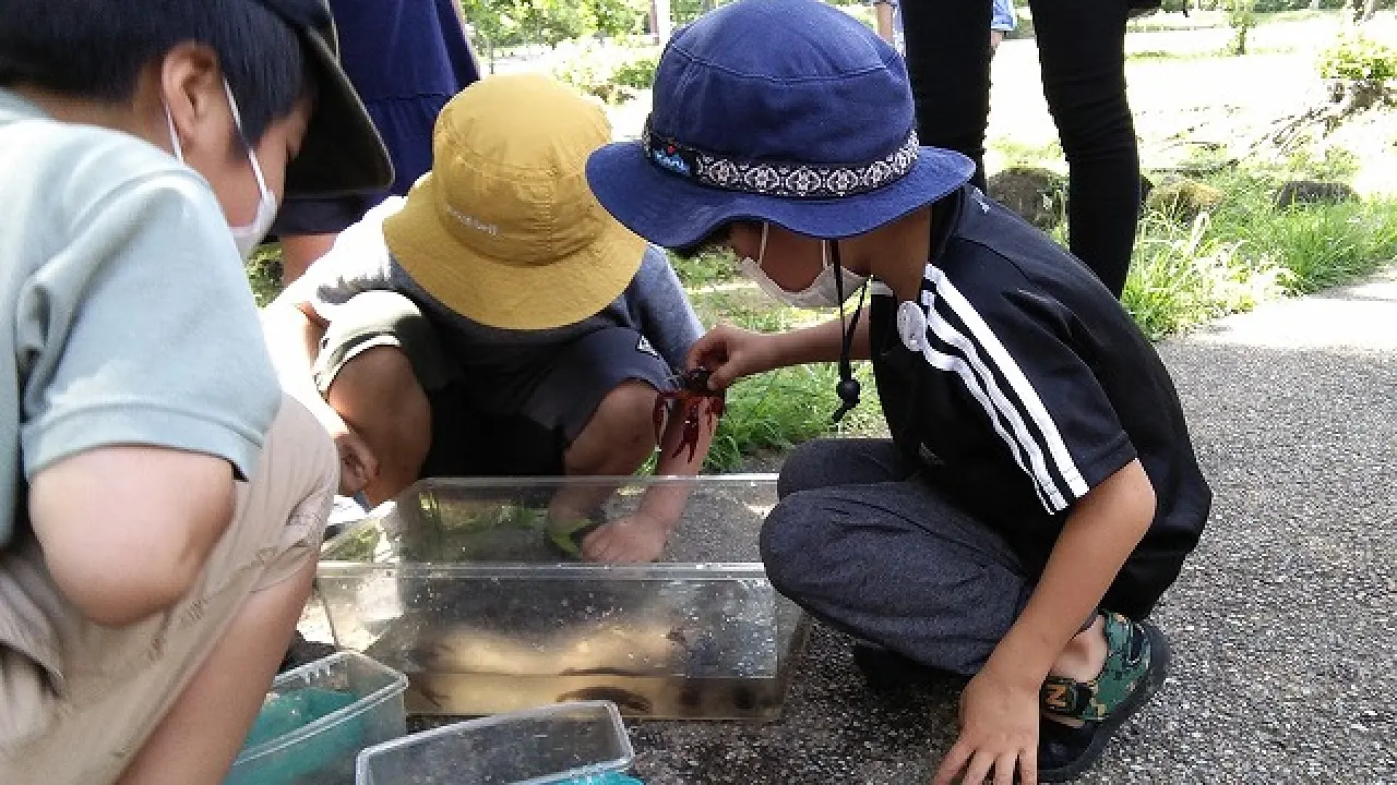 自然を感じ楽しむ会