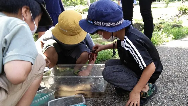 自然を感じ楽しむ会