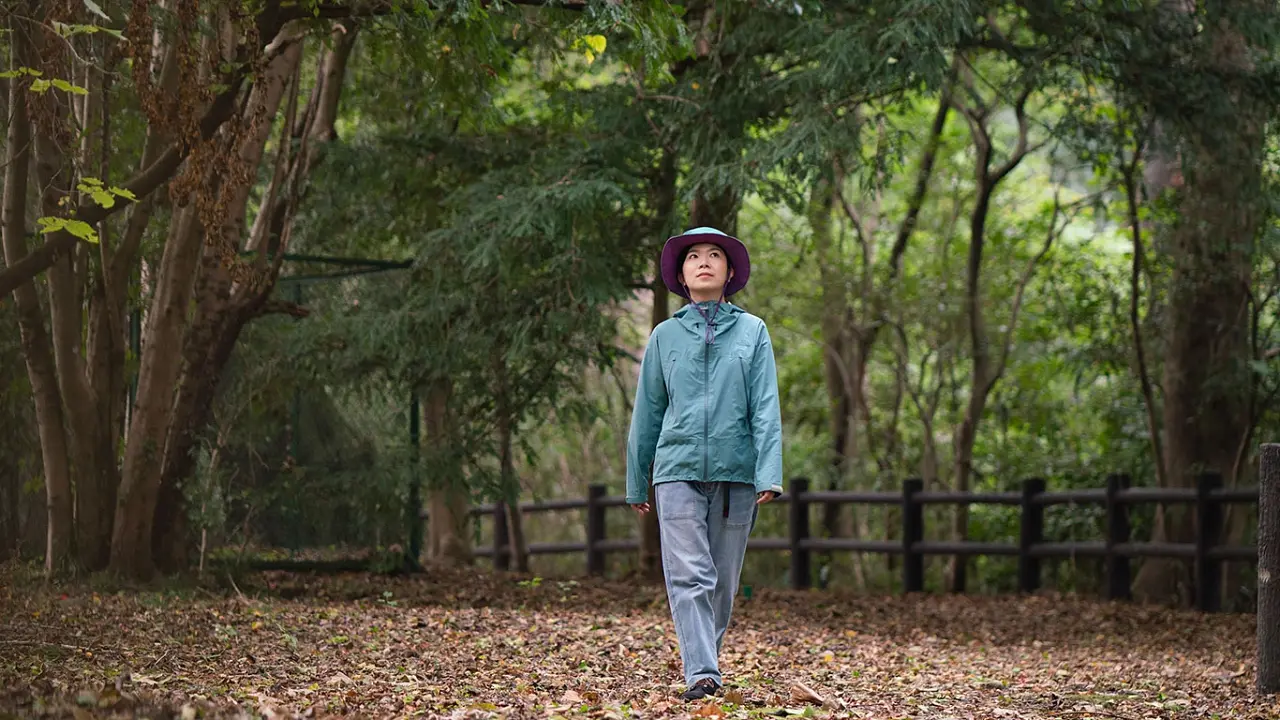 "Shinrinyoku" Forest Bathing in the "City of Trees" Sendai