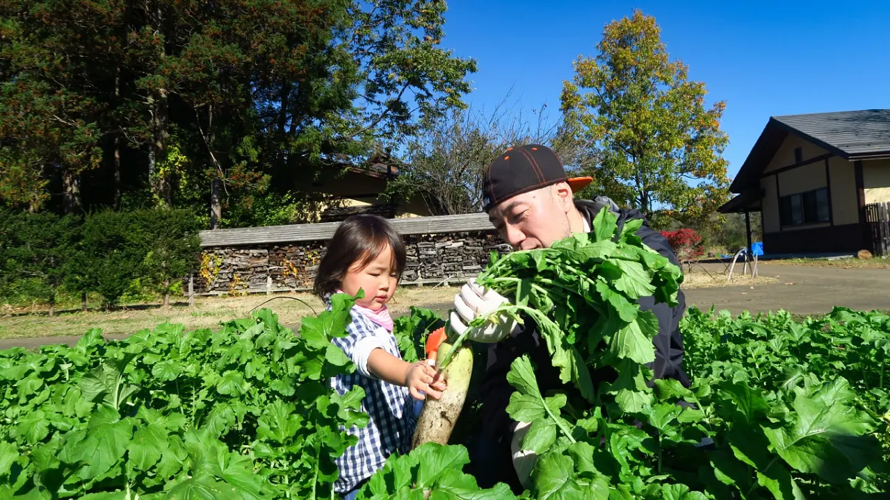 新鮮お野菜収穫体験