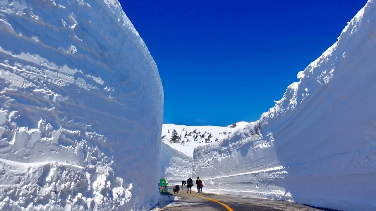 蔵王エコーライン 雪の壁 ウォーク