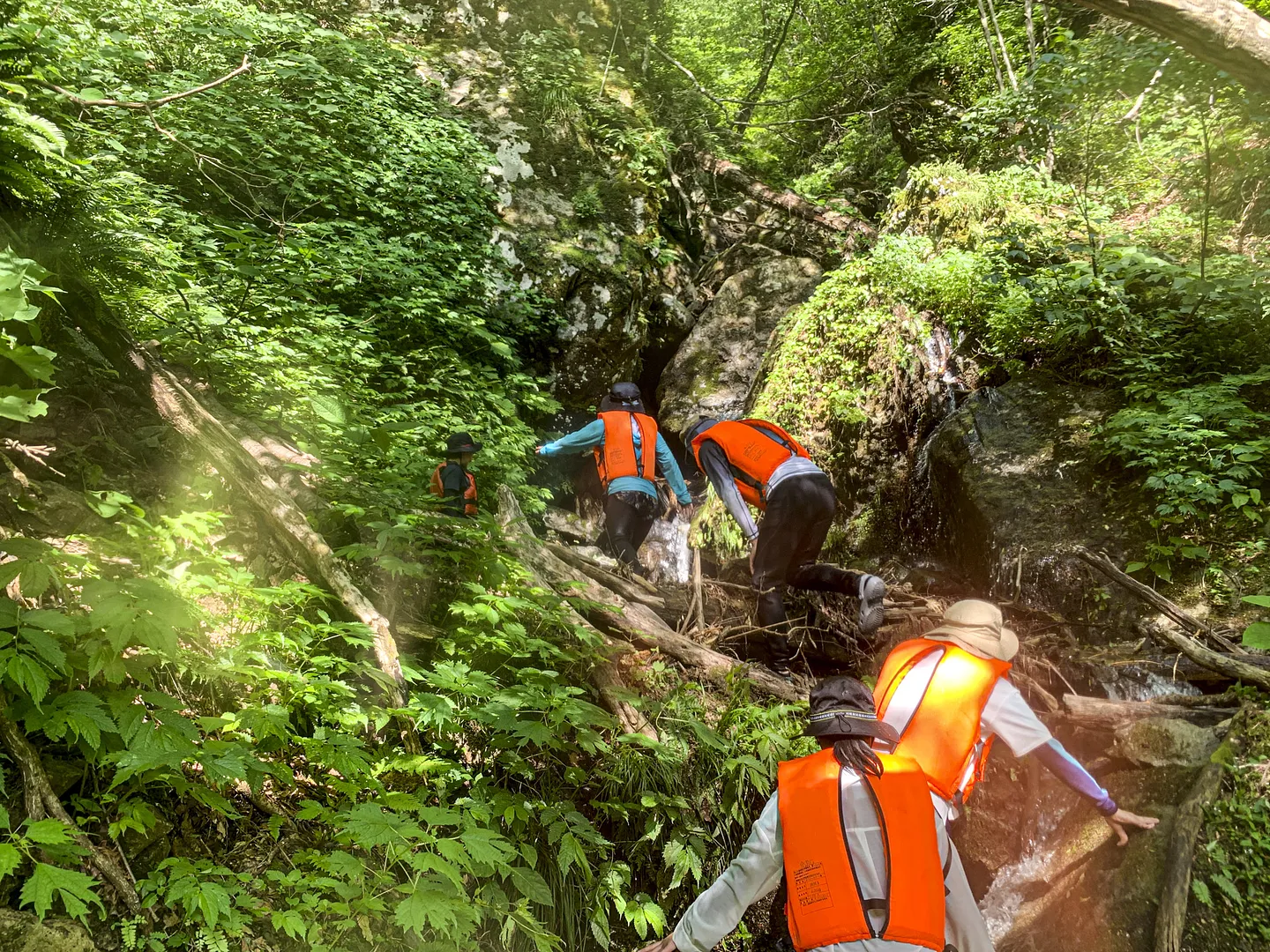 森の中の滝を目指します！