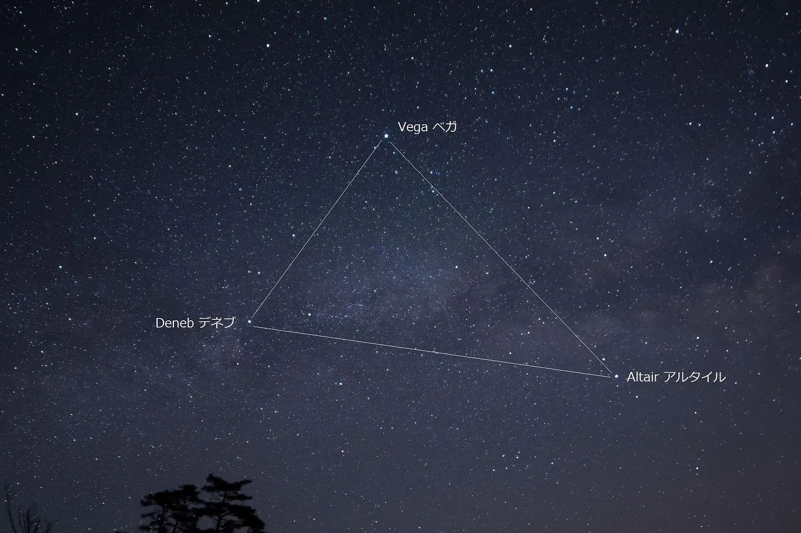 「夏の大三角」見つけてみましょう！