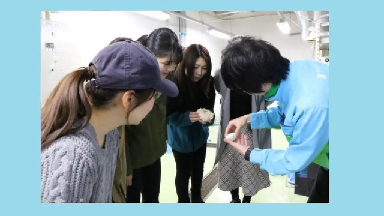 バックヤードツアー