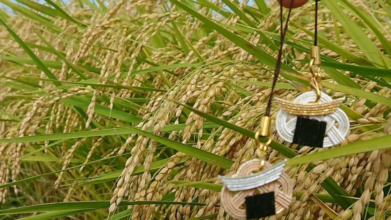 水引ｄe お結びストラップ作り