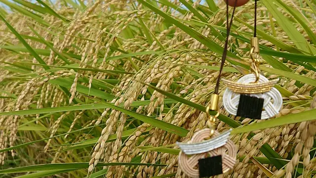 水引ｄe お結びストラップ作り