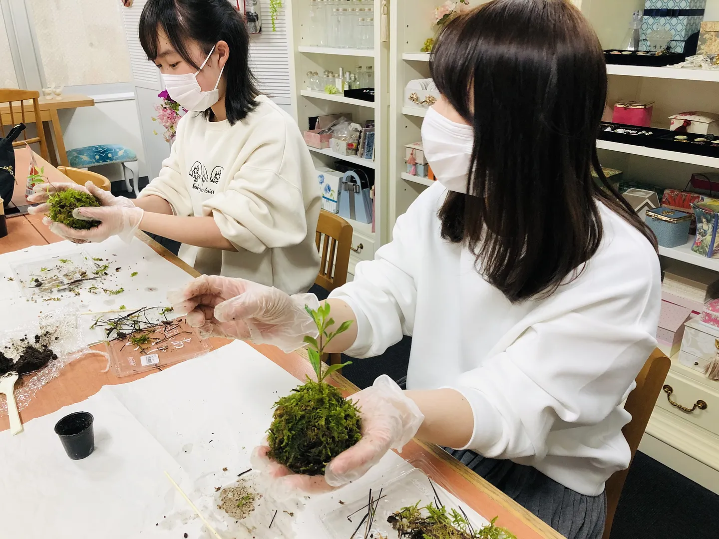 街中で楽しめる苔玉体験です