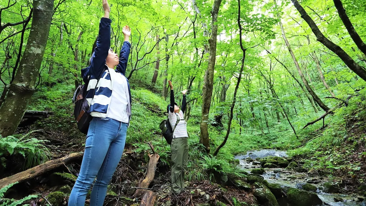 「−杜−水−温泉−」作並・癒しのひととき 【＃ゆっくりじっくり作並・定義リトリート】