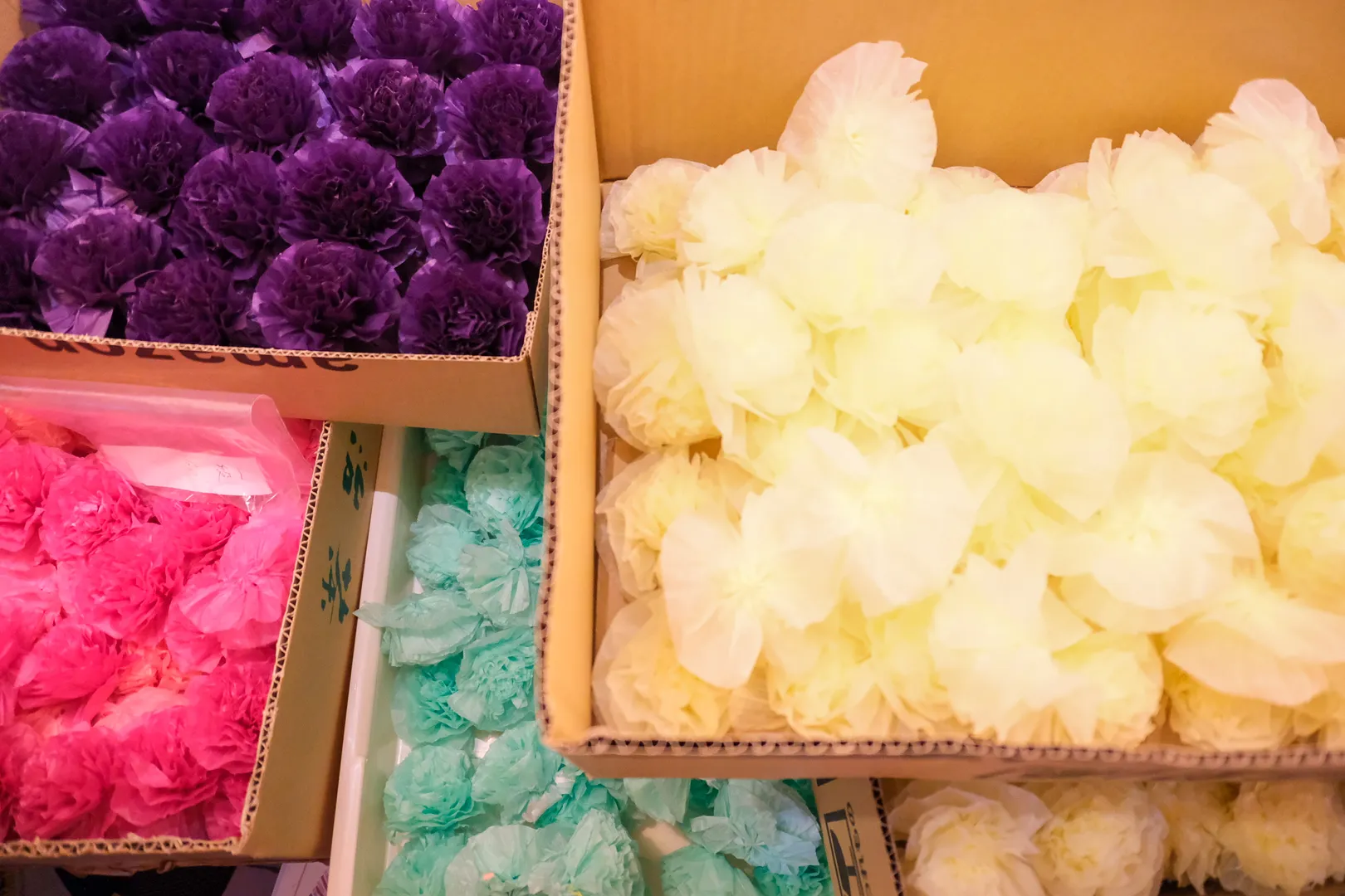 80ca5447-18c4-4d4b-a986-bbecf302f35b.jpeg