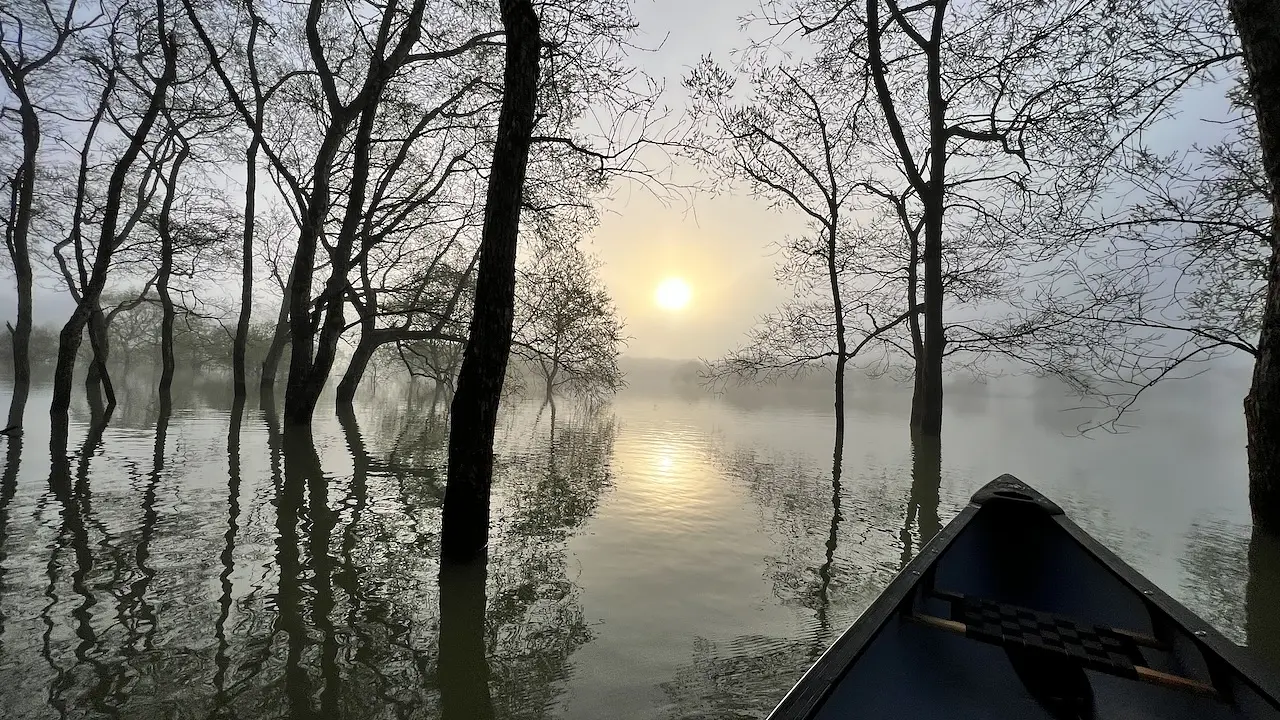 [แพ็กเกจพรีเมียมช่วงเช้าตรู่] ทัวร์พายเรือแคนูชมป่าใต้น้ำ