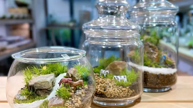 苔テラリウムワークショップ